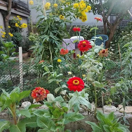Lolita Apartament Split